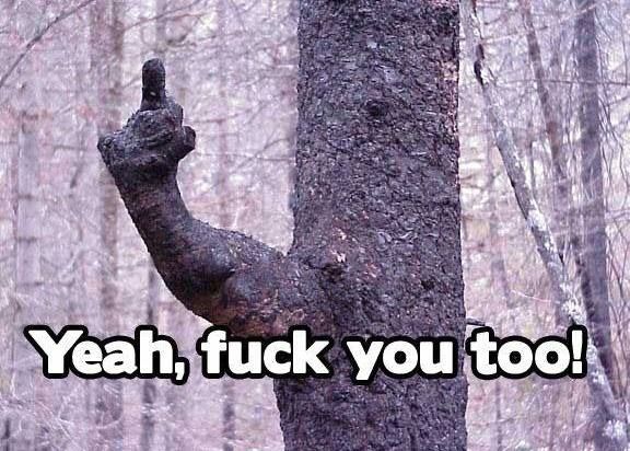 Yeah-Fuck-You-Too-Funny-Tree-Meme-Picture.jpg